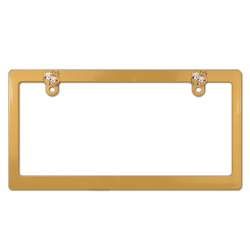 あらいぐまラスカル ナンバープレート フレーム ナンバーフレーム 普通車 軽自動車適用 装飾ボーダー タグ装飾 耐久性 カーアクセサリー 錆びにくい おしゃれ ?り物