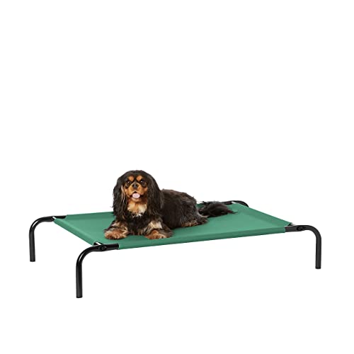 Amazon Basics Raised Dog Bed Cooling Breathable Elevated Pet Bed S Green 90 x 55 x 19 cm (L x W x H)