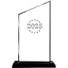 Crown Awards Personalized Acrylic Trophy, 6