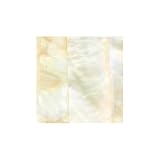 【貝殻の問屋さん】貝殻シート#24 ゴールドリップ（キチョウガイ）【4×4cm 厚さ0.18-0.2mm 】お試しサイズ レジン ネイル 螺鈿 パーツ 貝 結婚式 ハンドメイド アクセサリー 海 マーメイド 飾り 小さい 綺麗 可愛い shell おしゃれ パワーストーン キラキラ 真珠 パール 貝殻不思議発見 シロチョウガイ 白蝶貝 黄色 イエロー