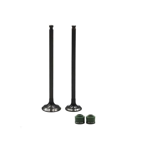 Válvulas de admisión y escape para moto GSX250F con resistencia térmica mejorada
