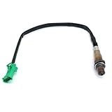 Performances robustes : résiste aux températures, garantissant des performances fiables.