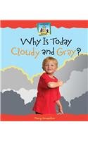 Library Binding Why Is Today Cloudy and Gray? Book