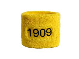 Flaggenfritze Schweißbänder 1909 Dortmund, 2er Set, je 7 x 8 cm, für Erwachsene und Jugendliche, Sport/Fitness/Yoga, modisches Fan-Accessoire