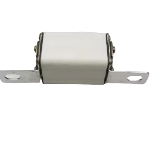 Fusible cerámico de acción rápida de 100A y 500V modelo RS3 3