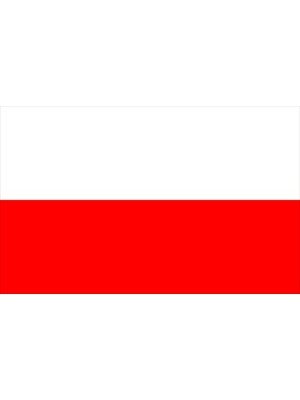 International Bunting | 8FT x 10Flags - Poland