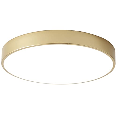 SIVAJI Circular Modern LED Ceiling Light Iron Art Lampshade Panel