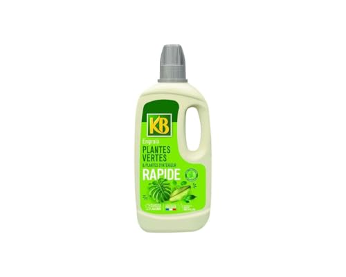 KB Engrais Rapide Plantes Vertes et d'intérieur 1l /nc