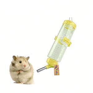 kirkland nature's domain dog food review