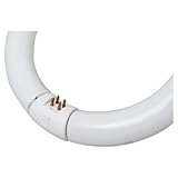 Ge Kitchen And Bath Ultra Circline Bulb 12 In. T9 32 W 1460 Lumens 4100 K 82 Cri Bx Wht