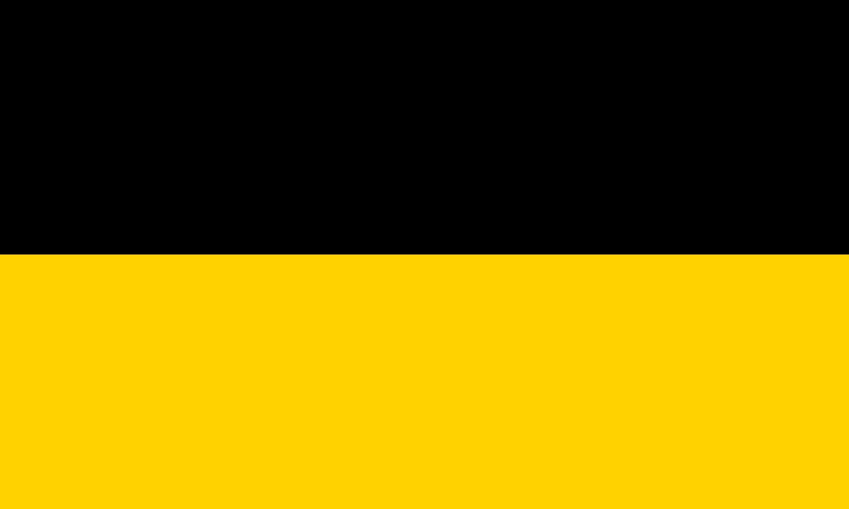 Drapeau Aachen grand format finitions renforcées pour mât extérieur