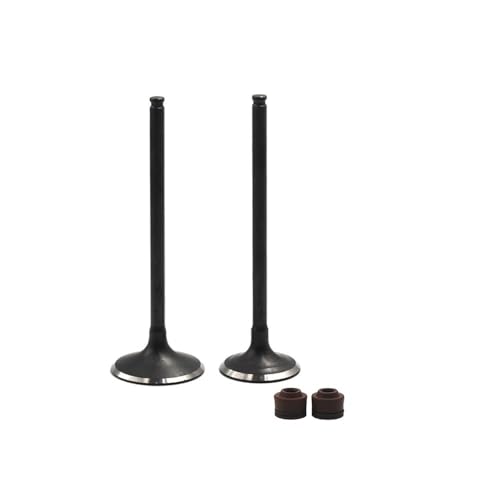 Joints de tige de soupape Spiracle pour moto DJ 250 et DR250, étanchéité moteur premium