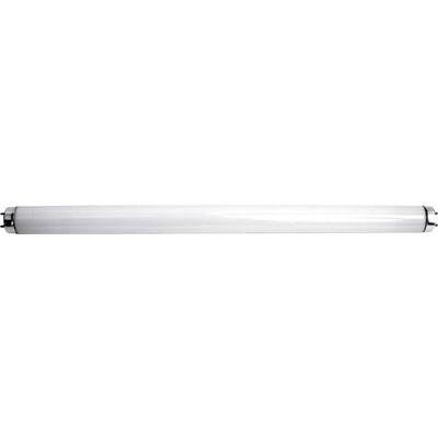 PEREL GIK16NLAMP UV Tube 20 W T8 Base 1 Piece