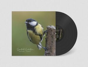 RAFAEL TORAL SPECTRAL EVOLUTION (LP) (ambient drone)
