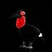 Whrigud 16.5'' Large Red-Faced Ground Hornbill Stuffed Animal Ground Hornbill Plush Soft Bird Animal Lovers Home Decor Birthday Gifts
