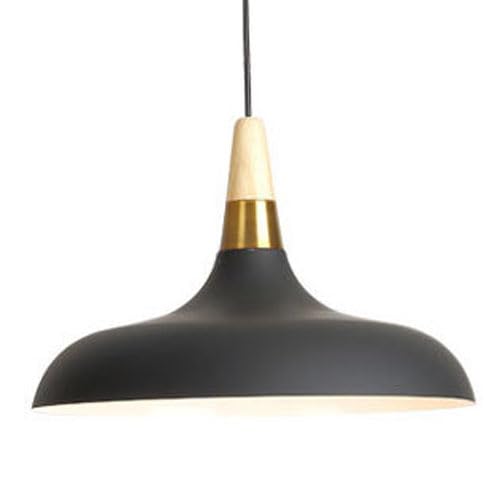 Plafonnier à tête unique pour moderniser un éclairage de salon sombre avec style industriel