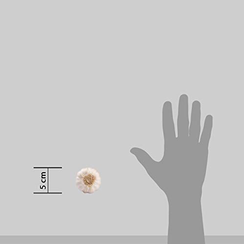 Fresh Organic Garlic, 100g