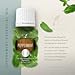Peppermint Essential Oil by Young Living, 15 Milliliters, Topical and Aromatic