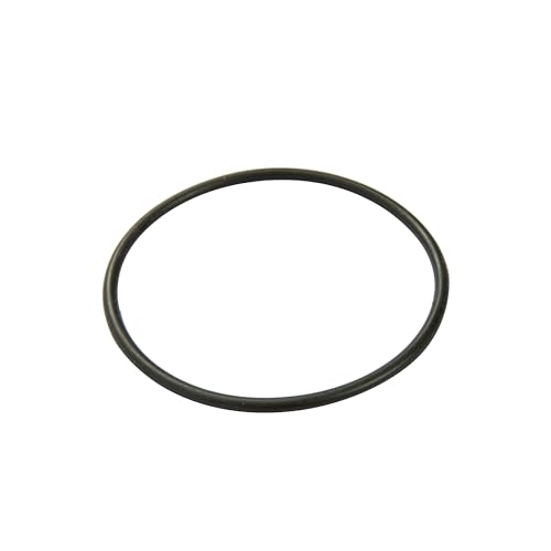 Bestway® Ersatzteil Filterdeckel-Dichtung für Flowclear Filterpumpe (58381)