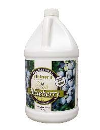 Vintner's Best Blueberry Fruit Wine Base 128 Oz (1 Galllon)