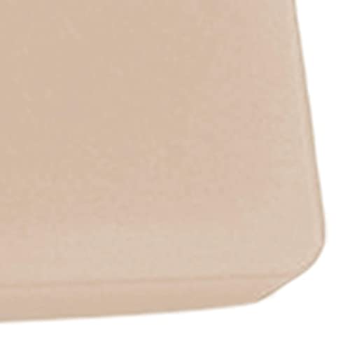 xxbg Mtg {bNX fBXvC P[X p[ lbNXp x[W ~, x[W̓̉~, 19x19x4 cm