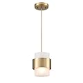 DEYNITE Modern Home Pendant Light Fixtures Brass Hanging Light for Kitchen Island