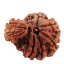 TDV Gemstone Ganesh Rudraksha of Nepal Origin Wooden Yantra by Lab Certified
