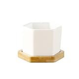 NESKTS Maceta para suculentas, maceta de cerámica, maceta hexagonal para suculentas con bandeja, mini maceta de cerámica