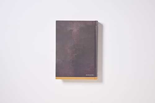 Rvr, Biblia Reflexiones de C. S. Lewis, Interior a DOS Colores, Tapa Dura, Comfort Print: Reina Vale