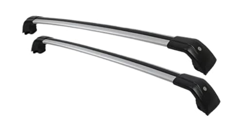 BYD A vX/Abg 3 2022+p A~TCho[ NX[ [tbN וLA [t 2  [tLA