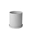 Grey,white