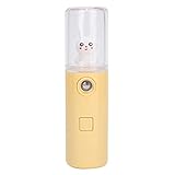 Gesichts-Nano-Nebel-Sprayer, tragbarer Nebel-Diffusor, Nano-Diffusor, tragbarer...