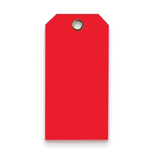 Heavy Duty Waterproof Plastic Tags