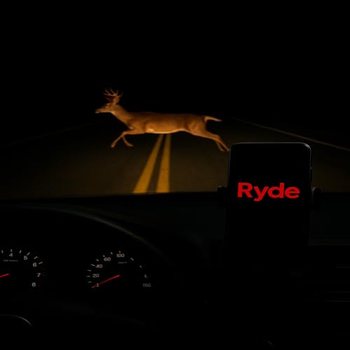 『Ryde』のカバーアート