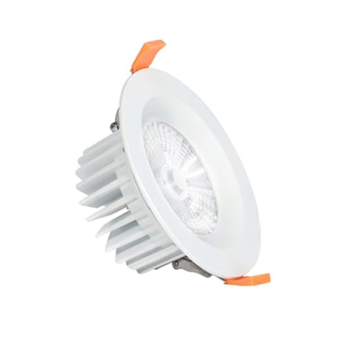 Spot LED encastré COB 20W blanc étanche IP68 pour plafond
