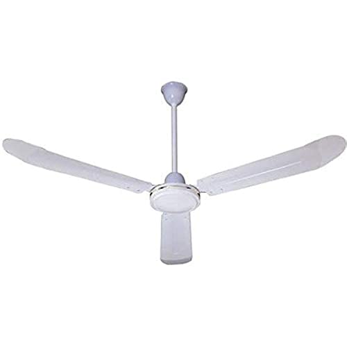 ROSKA Electric - Ceiling Fans - FC-8 30