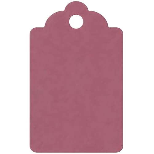 Image of CVANU 100pcs Premium Color Tag Blank Hanging with Pre-Punched Hole Tags for DIY Crafts, Gift Wrapping, Labelling & Writable Decorative Tags for All Occasions (2.85in X 1.7in) Brownish Pink