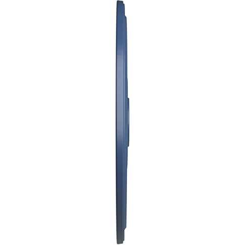 Image of Ekena Millwork CM24DIAMF Diane Ceiling Medallion, 24 inchOD x 3 5 /8 inchID x 1 1 /4 inchP (Fits Canopies up to 6 1 /4 inch), Hand-Painted Americana