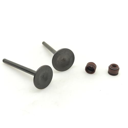 Repara tu motor con el kit de sello de aceite FD110 compatible con QS110-A