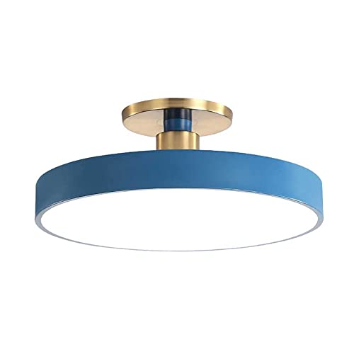 y_gCg, LEDtbV}EgV[OCgA6000 KFȃGlV[OvAVƖ̋߂AQArO[A֑v(Blue,50Cm)