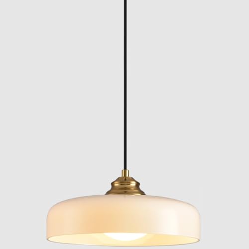 Luminaire suspendue en verre E27 pour table à manger et chambre