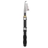 Canna da Pesca Portatile Mini Tasca 1.7m Mare Acqua Dolce Con Accessori Inclusi Pesca Ricreativa Compatta per Iniziare Subito