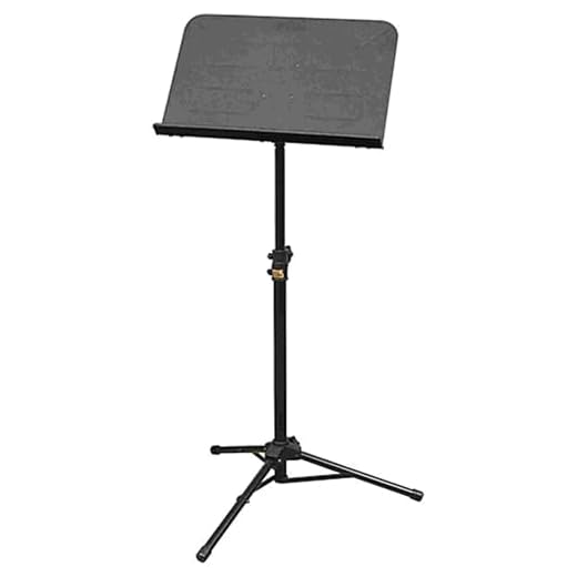 Hamilton Orchestra Stand, Black, 2 section
