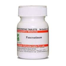 Dr.Willmar Schwabe India Pancreatinum 3X 20Gm (B0CPV7GZV2) Amazon Price History, Amazon Price Tracker