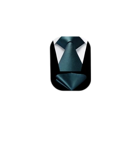 HISDERN Mens Ties Solid Color Ties for Men Formal Necktie with Pocket Square Set Satin Silk Neck Tie Handkerchiefs Set