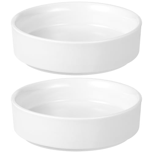 2 Pcs Brazilian Wood Potted Plants Ceramic Tray Holder for Indoor Desktop Decoration, 10 Inch Plant Saucers for Drip and Water Catcher