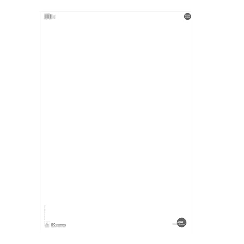 Ursus 036442 Flipchartblock, blanko, 68 x 99 cm, 80 g/qm, 20 Blatt