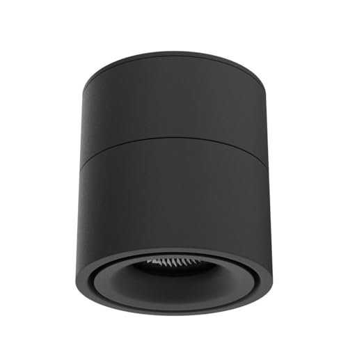 Image of LED Dimmable Ceiling Art Spotlight - 360Adjustable Indoor Surface Mounted 10W COB Lighting -Stepless Dimming Warm Light 3000K to Cool White 6000K Ceiling Downlight-Wall Swivel Lamp (Black)