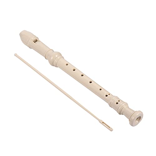 TOYANDONA \vmR[_[ qpR[_[ y 8abs Ή yʕό`h~ SҌwKZbg