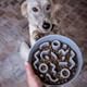 District 70 - Bamboo Dog Slow Feeder - Dark Grey - ø 21 cm